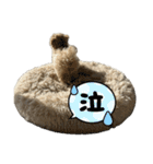 モコぷりぷりんメイン（個別スタンプ：1）