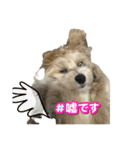 モコぷりぷりんメイン（個別スタンプ：20）