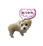 モコぷりぷりんメイン（個別スタンプ：23）