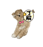 モコぷりぷりんメイン（個別スタンプ：31）