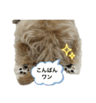 モコぷりぷりんメイン（個別スタンプ：32）