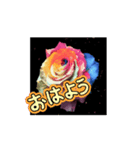 はるかの花束 七色Rose 動く（個別スタンプ：8）