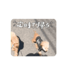 我が家のペット達 part①（個別スタンプ：8）