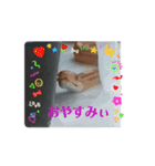 ペットスタンプ3♡（個別スタンプ：2）