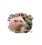 ペットスタンプ3♡（個別スタンプ：5）
