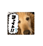 Fu-ta8（個別スタンプ：1）