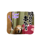 Fu-ta8（個別スタンプ：2）