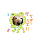 Fu-ta8（個別スタンプ：5）