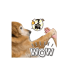 Fu-ta8（個別スタンプ：6）