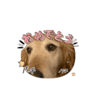 Fu-ta8（個別スタンプ：7）