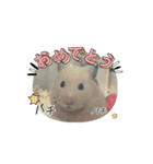 いわし＆きんちゃんの動くスタンプ（個別スタンプ：6）