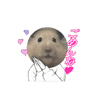 いわし＆きんちゃんの動くスタンプ（個別スタンプ：12）