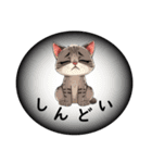 奇妙で酒好きな猫の一日スタンプ（個別スタンプ：5）
