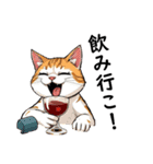 奇妙で酒好きな猫の一日スタンプ（個別スタンプ：6）