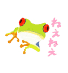 爬虫両生類の日常スタンプ（個別スタンプ：1）