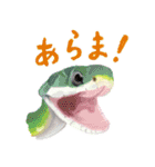 爬虫両生類の日常スタンプ（個別スタンプ：7）