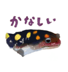 爬虫両生類の日常スタンプ（個別スタンプ：20）