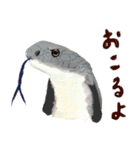 爬虫両生類の日常スタンプ（個別スタンプ：21）