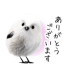 リアルシマエナガミーム1（個別スタンプ：6）