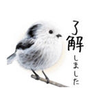 リアルシマエナガミーム1（個別スタンプ：8）