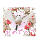 リアルシマエナガミーム1（個別スタンプ：18）