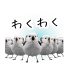 リアルシマエナガミーム1（個別スタンプ：26）