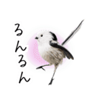 リアルシマエナガミーム1（個別スタンプ：28）
