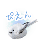 リアルシマエナガミーム1（個別スタンプ：33）