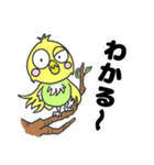 セキセイインコのぽーちゃん（個別スタンプ：1）