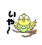 セキセイインコのぽーちゃん（個別スタンプ：4）