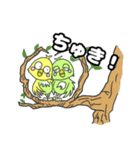 セキセイインコのぽーちゃん（個別スタンプ：11）
