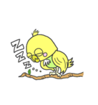 セキセイインコのぽーちゃん（個別スタンプ：13）