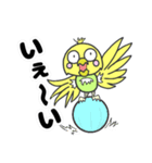 セキセイインコのぽーちゃん（個別スタンプ：16）