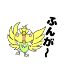 セキセイインコのぽーちゃん（個別スタンプ：20）