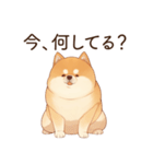 恋人に束縛するかまってちゃん犬(柴犬)（個別スタンプ：1）