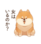 恋人に束縛するかまってちゃん犬(柴犬)（個別スタンプ：4）