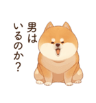 恋人に束縛するかまってちゃん犬(柴犬)（個別スタンプ：5）