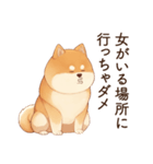 恋人に束縛するかまってちゃん犬(柴犬)（個別スタンプ：12）
