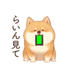 恋人に束縛するかまってちゃん犬(柴犬)（個別スタンプ：13）