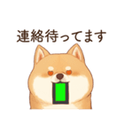 恋人に束縛するかまってちゃん犬(柴犬)（個別スタンプ：20）