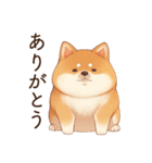 恋人に束縛するかまってちゃん犬(柴犬)（個別スタンプ：23）