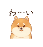恋人に束縛するかまってちゃん犬(柴犬)（個別スタンプ：24）