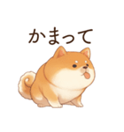 恋人に束縛するかまってちゃん犬(柴犬)（個別スタンプ：25）