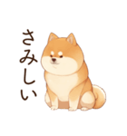 恋人に束縛するかまってちゃん犬(柴犬)（個別スタンプ：26）