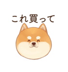 恋人に束縛するかまってちゃん犬(柴犬)（個別スタンプ：28）