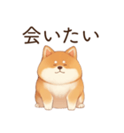 恋人に束縛するかまってちゃん犬(柴犬)（個別スタンプ：30）
