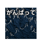 大量のスクール水着（個別スタンプ：11）