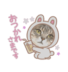 コトちゃん8（個別スタンプ：1）