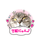 コトちゃん8（個別スタンプ：3）