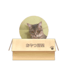 コトちゃん8（個別スタンプ：5）